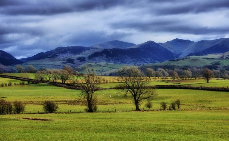 Cumbria’s Ambitious Sustainability Targets: An Interview With John Forbes